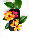 Coque Fleurs Tropicales 974